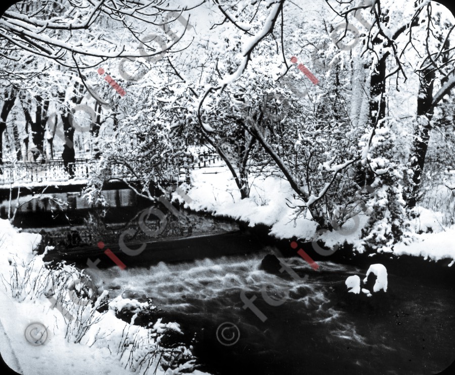 Winter an der Düssel ; Winter at the Düssel (foticon-simon-340-052-sw.jpg)